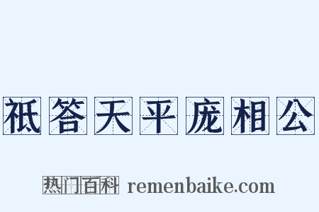 祗答天平庞相公是什么意思的图片
